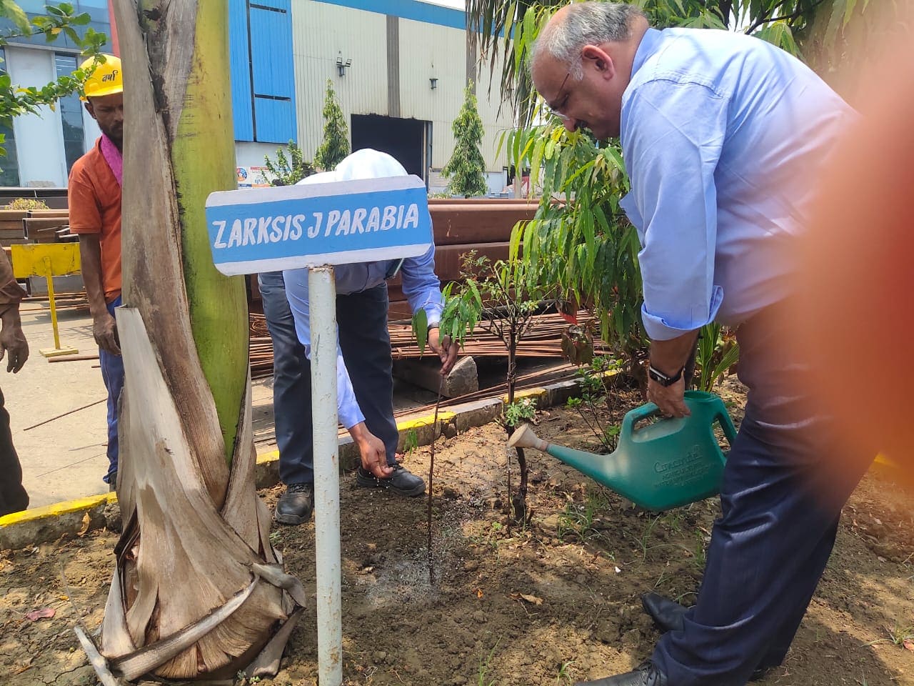 World Environment Day turns green at SISCOL
